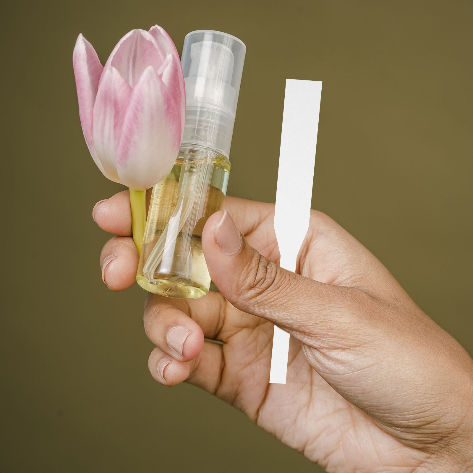 Shop Home Fragrance - 100Pcs Perfume Test Strips Fragrance Tester