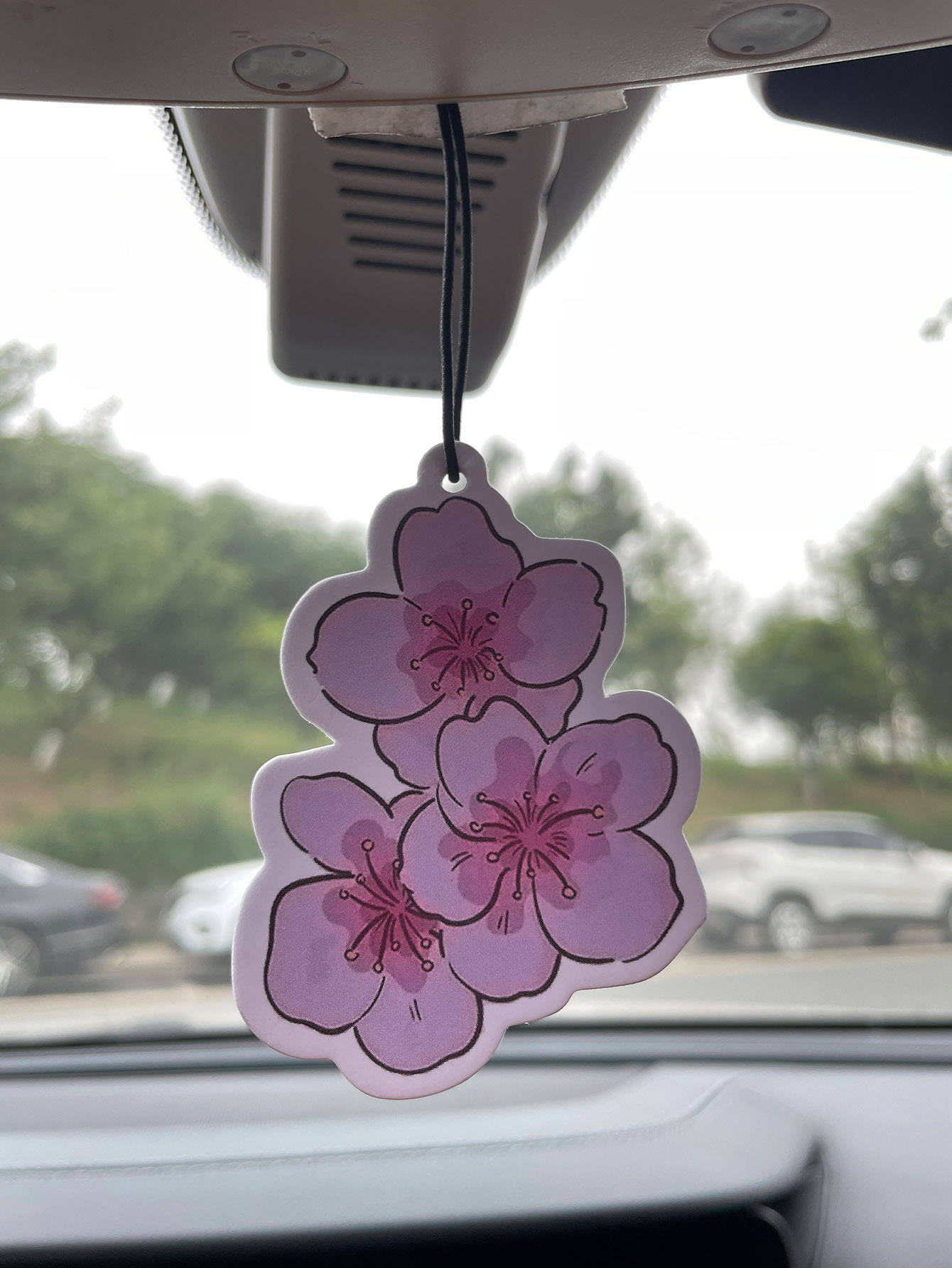 Home Fragrance Types - Sakura/Freesia Fresh Scent Five-Star Neutral Car