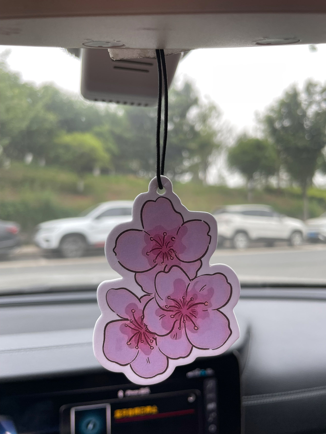Sakura/Freesia Fresh Scent Fiv - огляд і ціна Home Fragrance Types