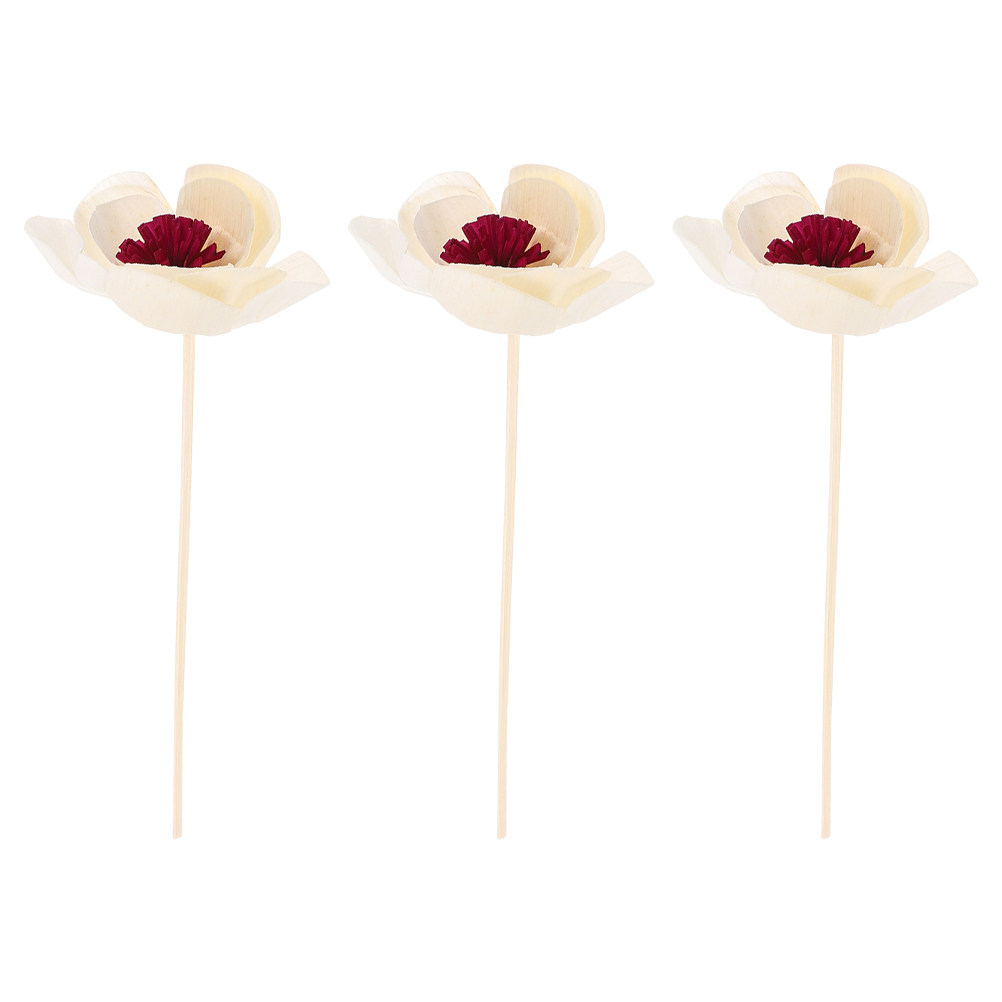 3Pcs Dried Flower Diffuser Sti - огляд і ціна Shop Home Fragrance