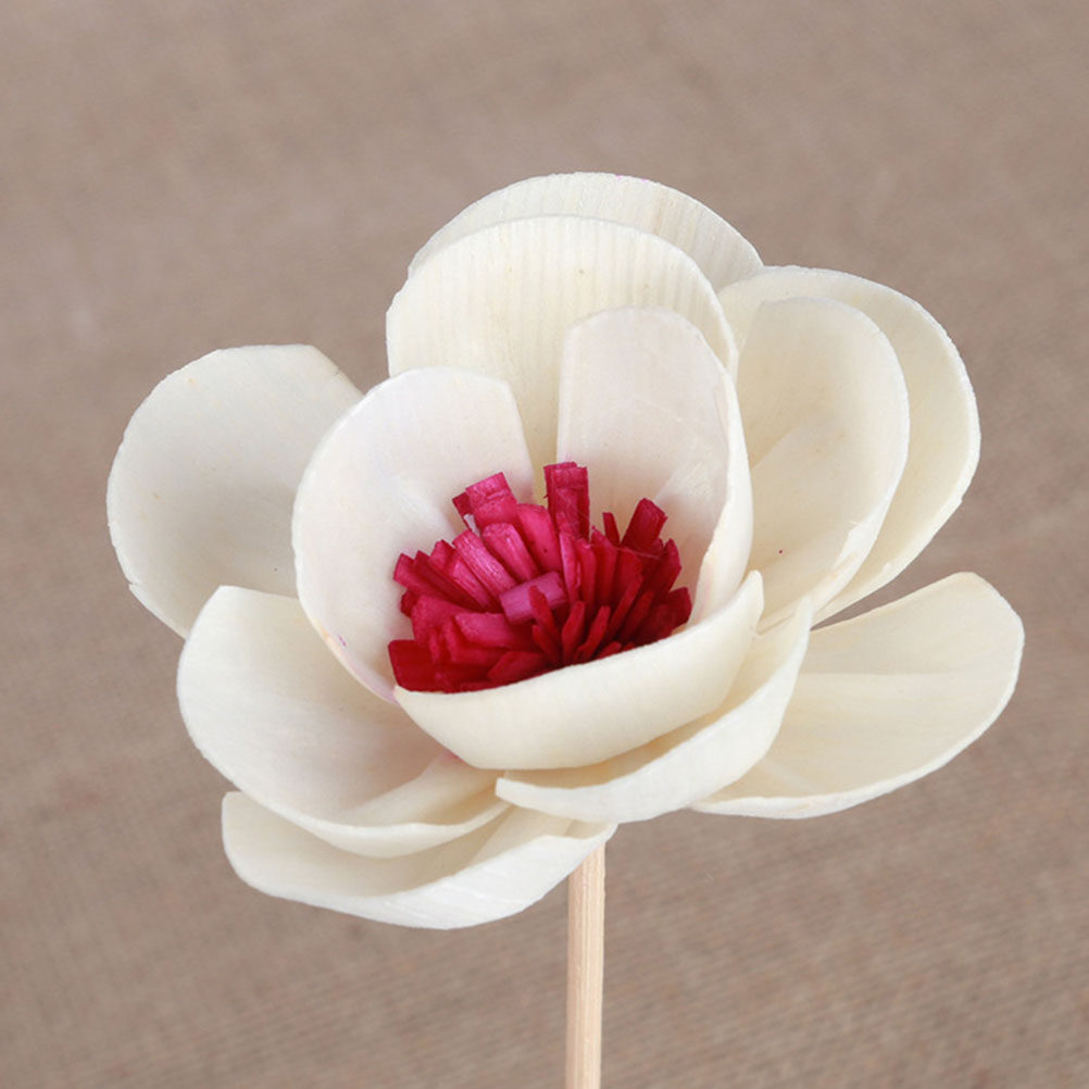 3Pcs Dried Flower Diffuser Sti - огляд і ціна Shop Home Fragrance